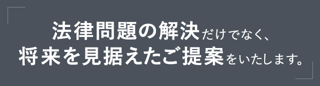 法律問題の解決だけでなく、将来を見据えたご提案をいたします